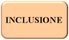 Inclusione